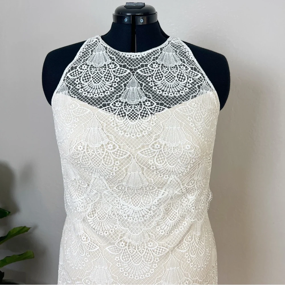 TADASHI SHOJI Women’s Size 16 Ivory Sleeveless Caye Racer Neck Lace Wedding Gown - Picture 3 of 13